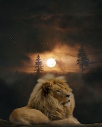 Wallpaper
