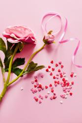 Love HD Wallpaper