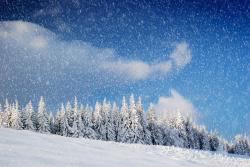 Christmas HD Wallpaper