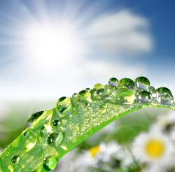 Rain HD Wallpaper