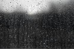 Rain HD Wallpaper