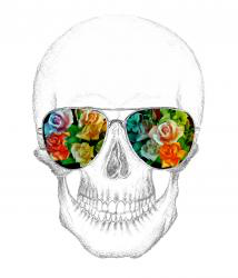 Skulls HD Wallpaper