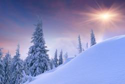 Winter HD Wallpaper