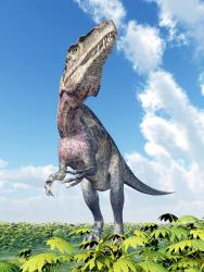 Dinosaurs HD Wallpaper