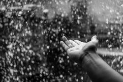 Monochrome HD Wallpaper
