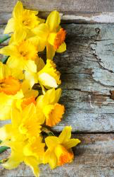Spring HD Wallpaper