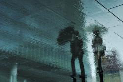 Rain HD Wallpaper