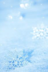 Winter HD Wallpaper
