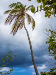 Storms HD Wallpaper