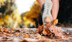 Autumn HD Wallpaper