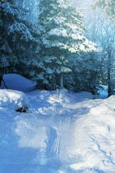 Winter HD Wallpaper