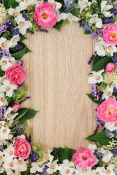 Flowers HD Wallpaper