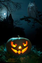 Halloween HD Wallpaper