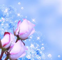 Flowers HD Wallpaper