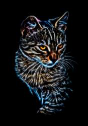 Wallpaper