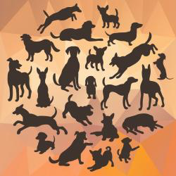 Dogs HD Wallpaper