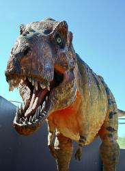 Dinosaurs HD Wallpaper