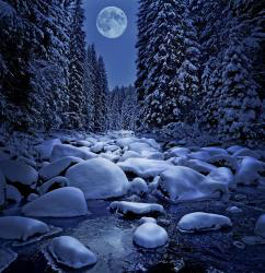 Winter HD Wallpaper