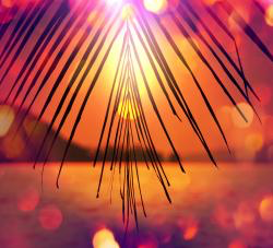 Summer HD Wallpaper